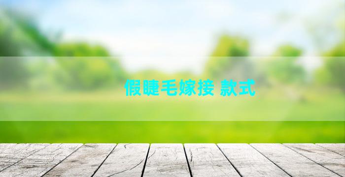 假睫毛嫁接 款式